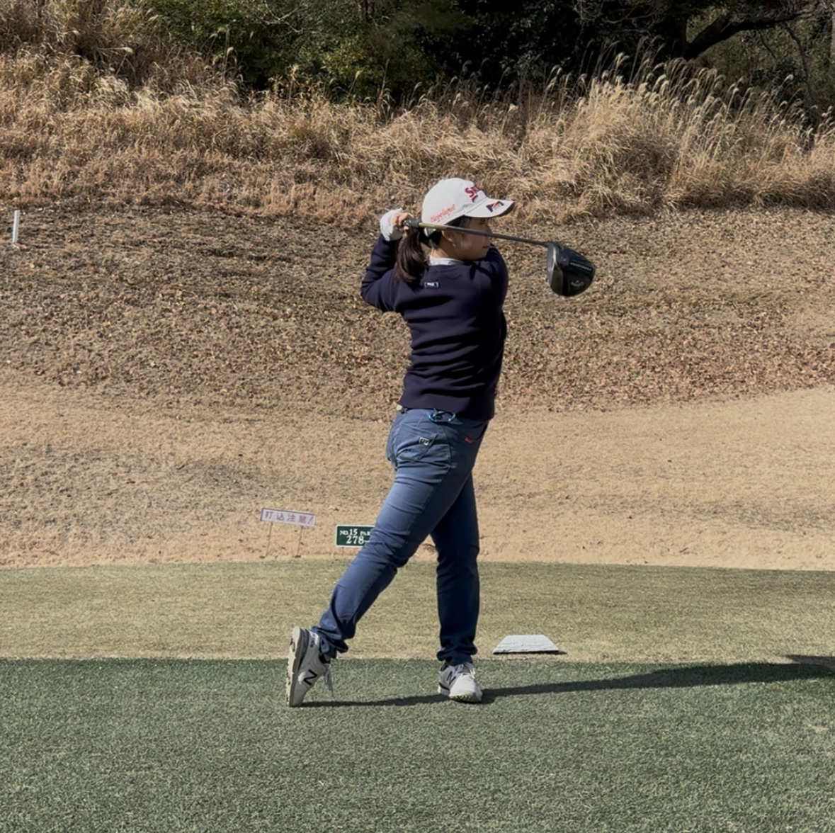 大木 佳世子 ギャラリー画像 2